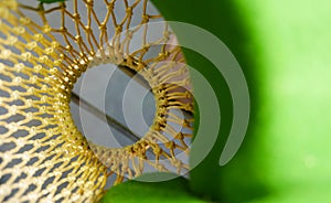 Green snooker table and hole net