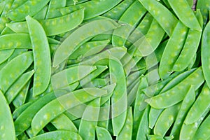 Green snow pea pods background