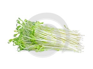 Green snow pea sprouts isolated on white