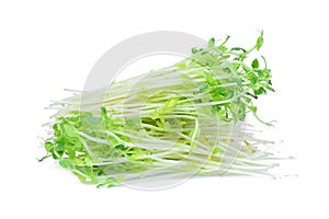 Green snow pea sprouts isolated on white