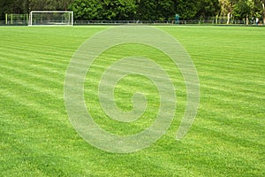 Green soccer field and goal