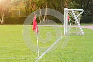 Green soccer field showing red corner flag and goal