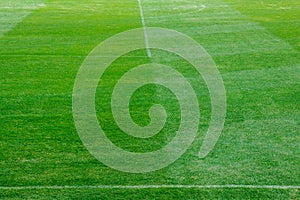 Green soccer field texture