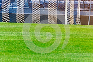 Green soccer field texture