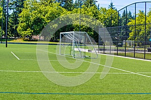 Green Soccer turf