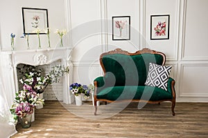 Green sofa near white wall with pictures
