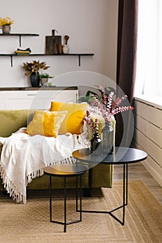 A green sofa with yellow pillows and a double black coffee table and a blanket in a modern Scandinavian-style living room interior