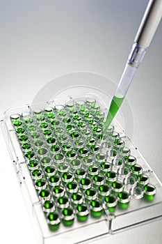 Green Solution Science Research Pipette Cell Plate