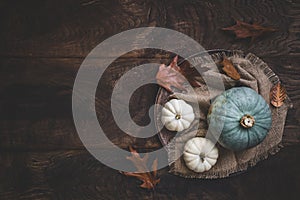 Green sombra pumpkin and white mini pumpkins on wood, autumn decoration photo