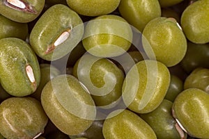 Green soya bean (Glycine max)