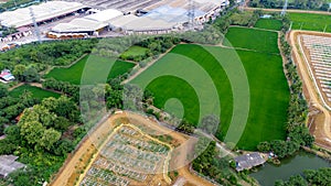 Green space of rice fields in the country side