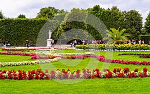 Green space in Schonbrunn Palace gardens