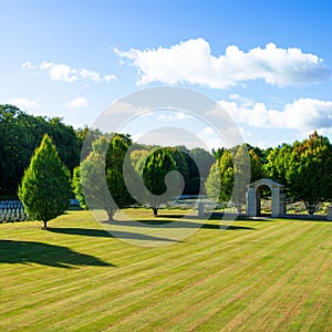 Green space with trees under blue sky with clouds sunny day