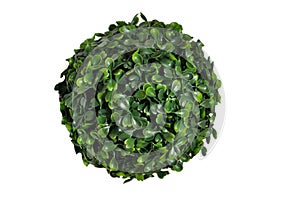 Green sphere isolated on white background