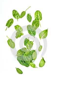 Green spinach leaves flying on white, fresh salad in motion, vegetables levitation concept, isolated