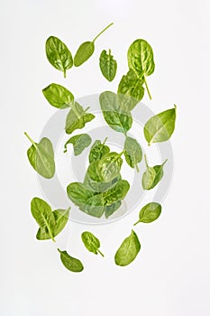 Green spinach leaves flying on white, fresh salad in motion, vegetables levitation concept, isolated