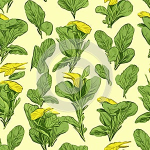Green spinach leaves, organic healthy food in the form of a pattern.
