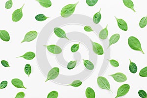 Green spinach leaves pattern on white background top view. Flat lay.