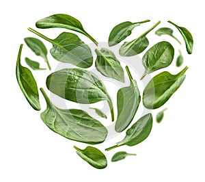 Green spinach leaves in the shape of a heart on a white background