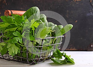 Green spinach leaves on white