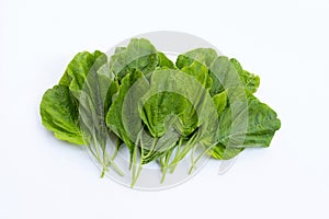 Green spinach on white background