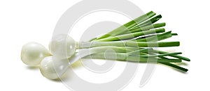 Green sping onion scallion on white background photo