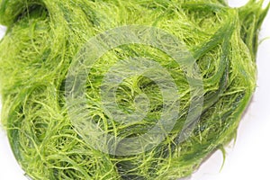 Green spirogyra is fresh water algae have very high calcium and beta-carotene,used for cooking ,it`s popular in North and Northe