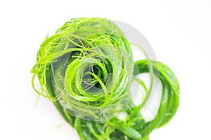 Green spirogyra on white background , algae nature patterns texture top view