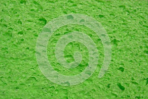 Green sponge
