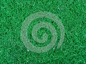 Green sponge texture background