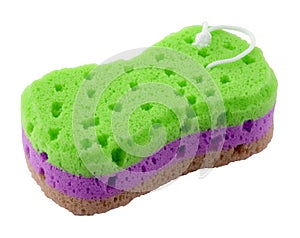 Green sponge for washing dishes on a white background. The sponge has a knurled surface. It can be used for household