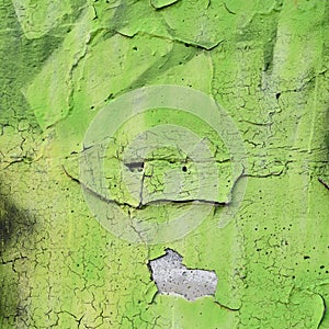 Green sprayed surface on an old flaky wall photo