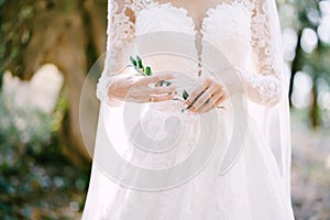 Green sprig in the hands of a bride in a white embroidered dress. Close-up