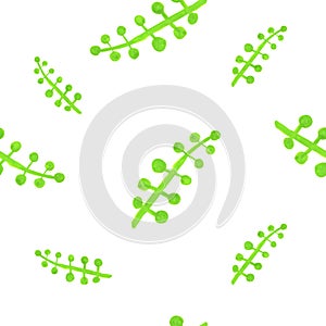 green sprig with peas stylized seamless pattern isolated on white background watercolor illustration base for