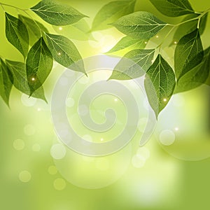 Green spring background. Vector photo