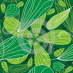 Green spring flower background.