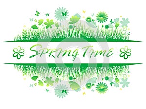 Green spring grass with flower and butterflies Isolated On White Background