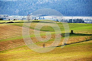 Zelené jarní kopce na Slovensku. duben slunný venkov