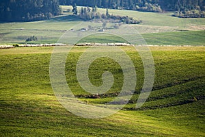 Green spring hills in Slovakia. April sunny countryside