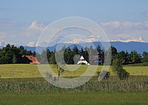 Green spring landscape in Zurich Canton. Snow covered mountain range