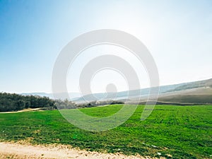 Green spring meadow in a mountainous area