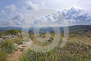 Green spring mountain landscape