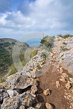 Green spring mountain landscape