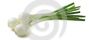 Green spring onion scallion 3 isolated on white background photo