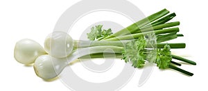 Green spring onion scallion parsley 2 isolated on white background