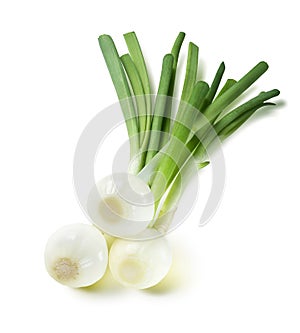 Green spring onion square composition isolated