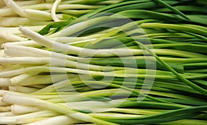 Green spring onions