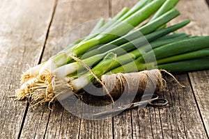 Green spring onions