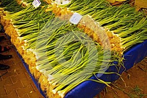 Green spring onions