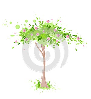 Green spring tree